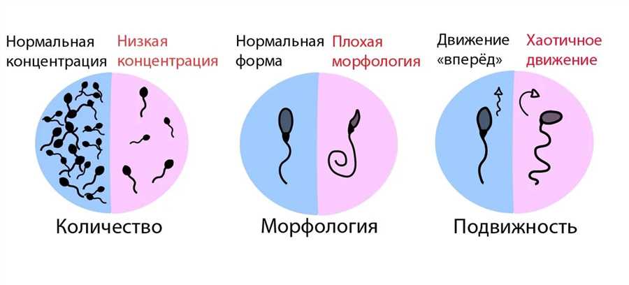 Витамин