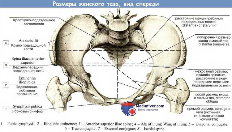 Различия