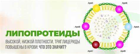 Определение