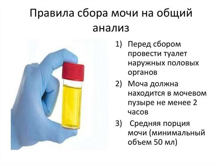 Рекомендации
