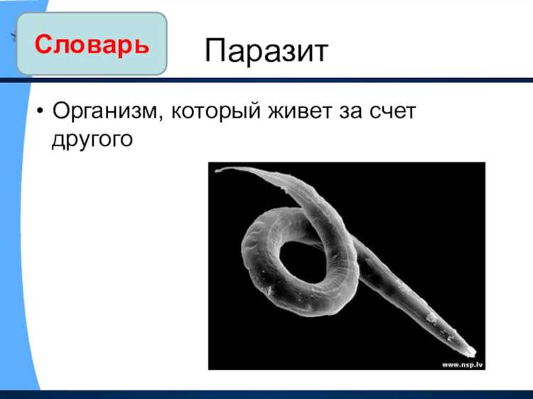 Проблематика
