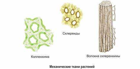Механизмы