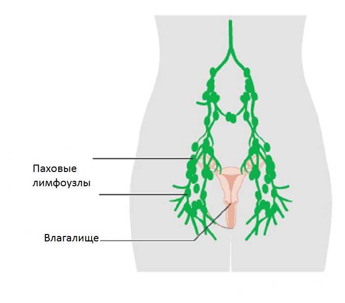 Диагностика