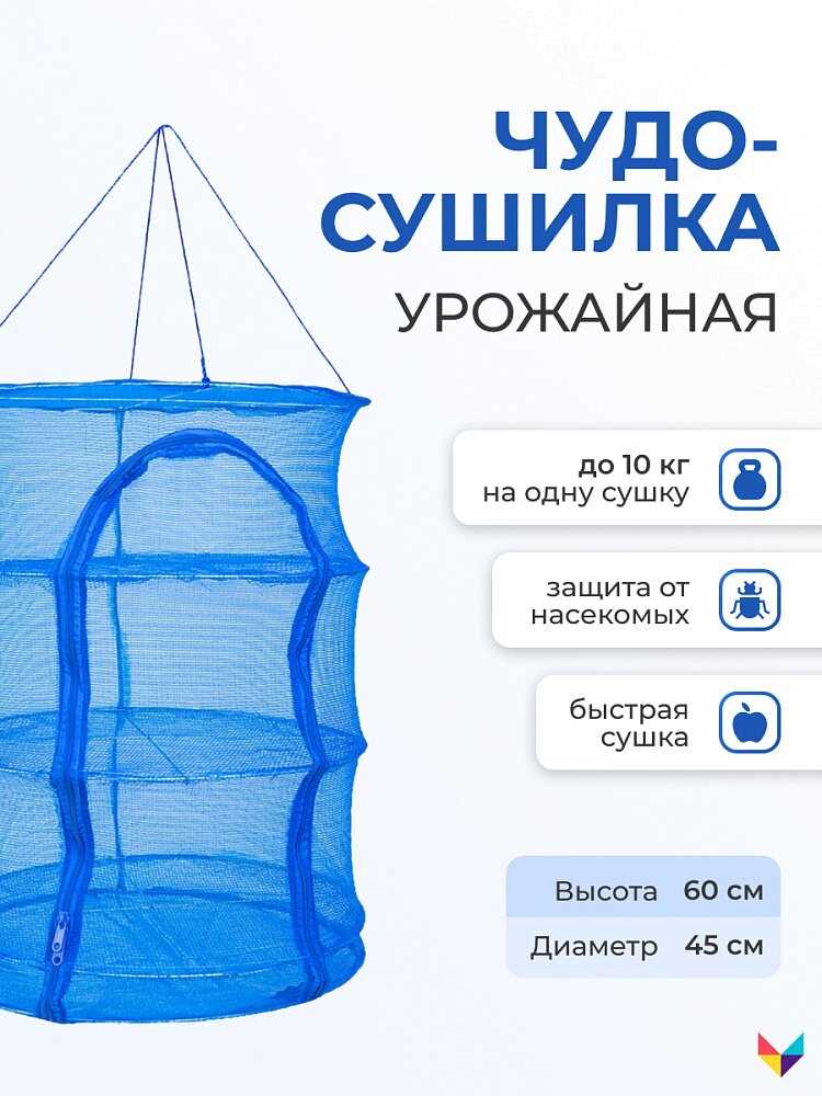 2.