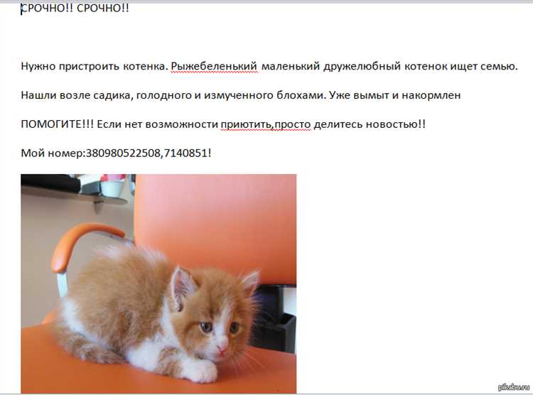 Выбор