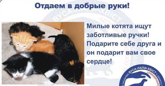 Изучите