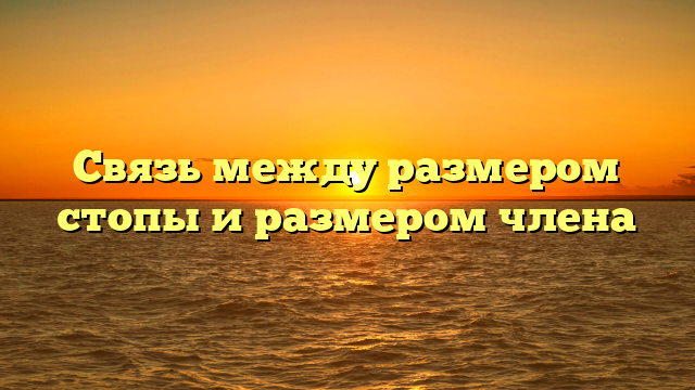 Связь между размером стопы и размером члена