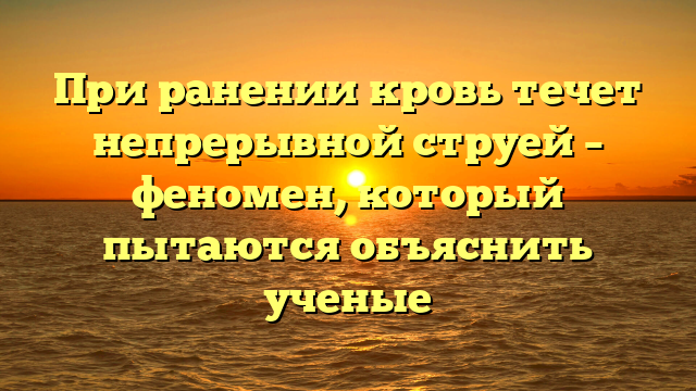 При ранении кровь течет непрерывной струей – феномен, который пытаются объяснить ученые